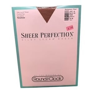 Round The Clock Sheer Perfection Silky Lycra Control Top Pantyhose Nude Size B